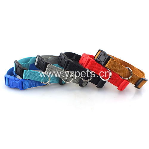 2 Inches Nylon Dog Collars